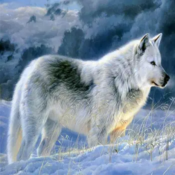 Снежный Волк Полная дрель Алмазное искусство 5D Алмазная живопись Комплект для домашнего декора стен Подарок, вышивка Картина