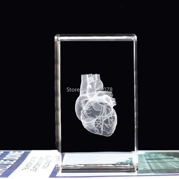 3D стереоскопическая модель анатомии человеческого сердца с внутренней резьбой по кристаллу для медицинских учебных принадлежностей или идеальный подарок 50 *50 * 80 мм