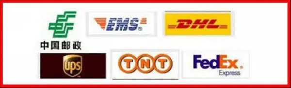 Стоимость доставки EMS UPS в отдаленные районы больше DHL FedEx TNT Разница в доставке 0